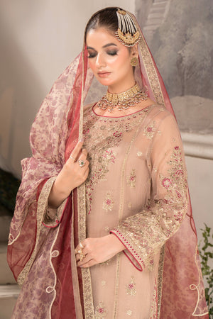 IP-111 Taneesha festive Collection 2025