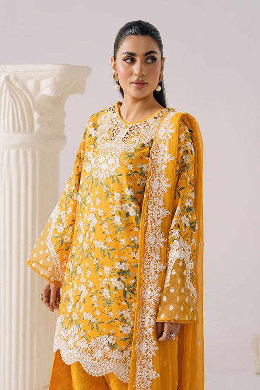 IPL-38 Soft Magnolia