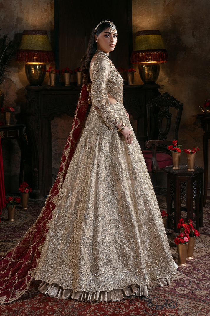 Bridal Dress in Pakistan | Shop Latest Bridal Outfits