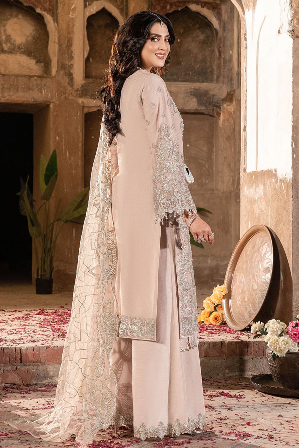 IP-146 JASHNI